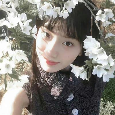 最后的贵族